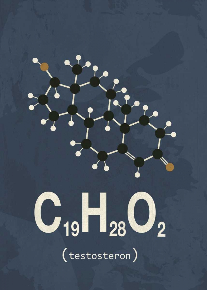 Molecule Testosterone art print by TypeLike for $57.95 CAD
