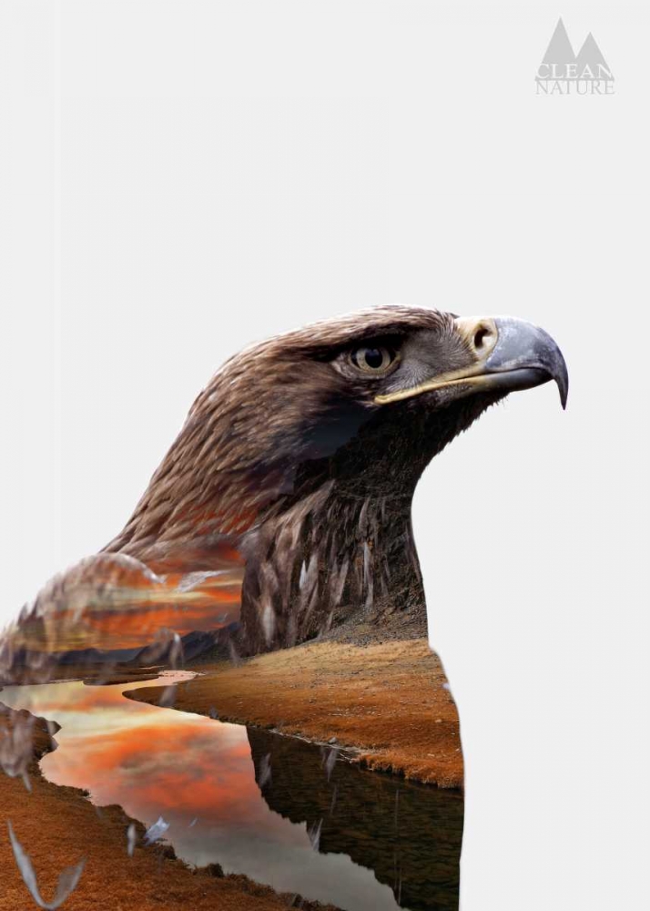 Eagle art print by Clean Nature for $57.95 CAD