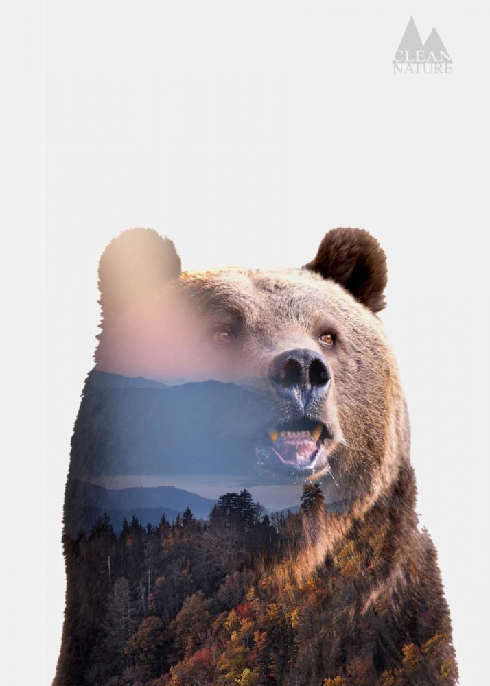 Bear art print by Clean Nature for $57.95 CAD