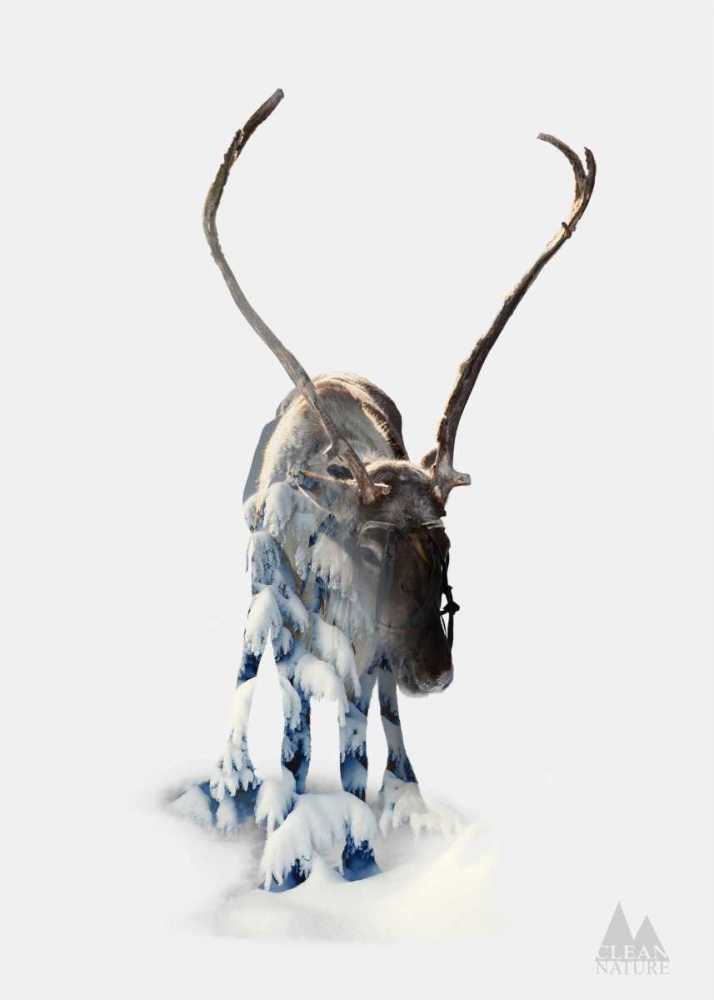 Moose art print by Clean Nature for $57.95 CAD