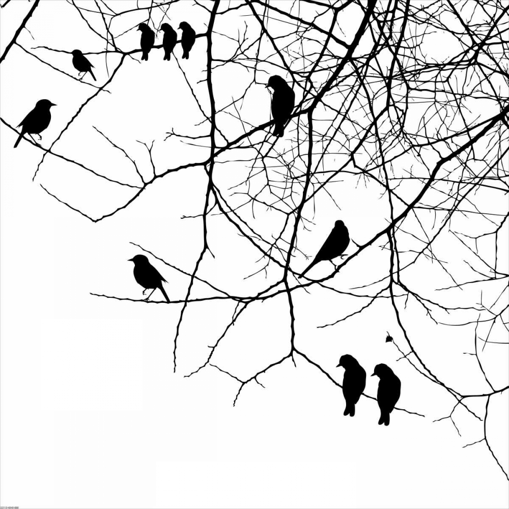 Bird II art print by GraphINC for $57.95 CAD