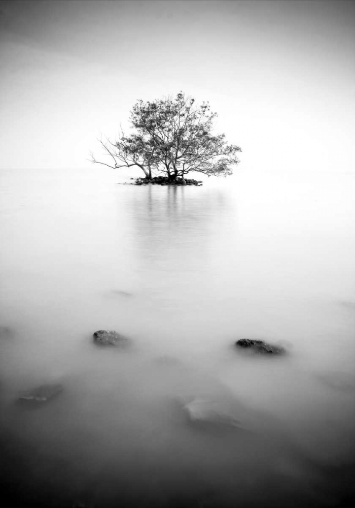 In the mist art print by PhotoINC Studio for $57.95 CAD