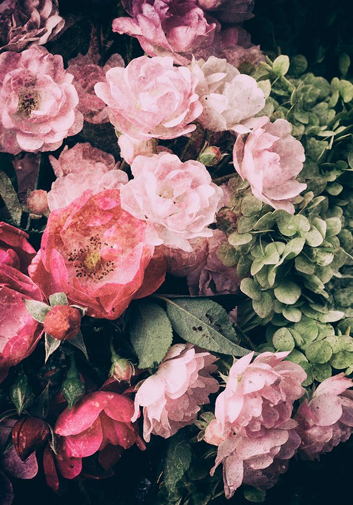 Floral 28 art print by Incado for $57.95 CAD