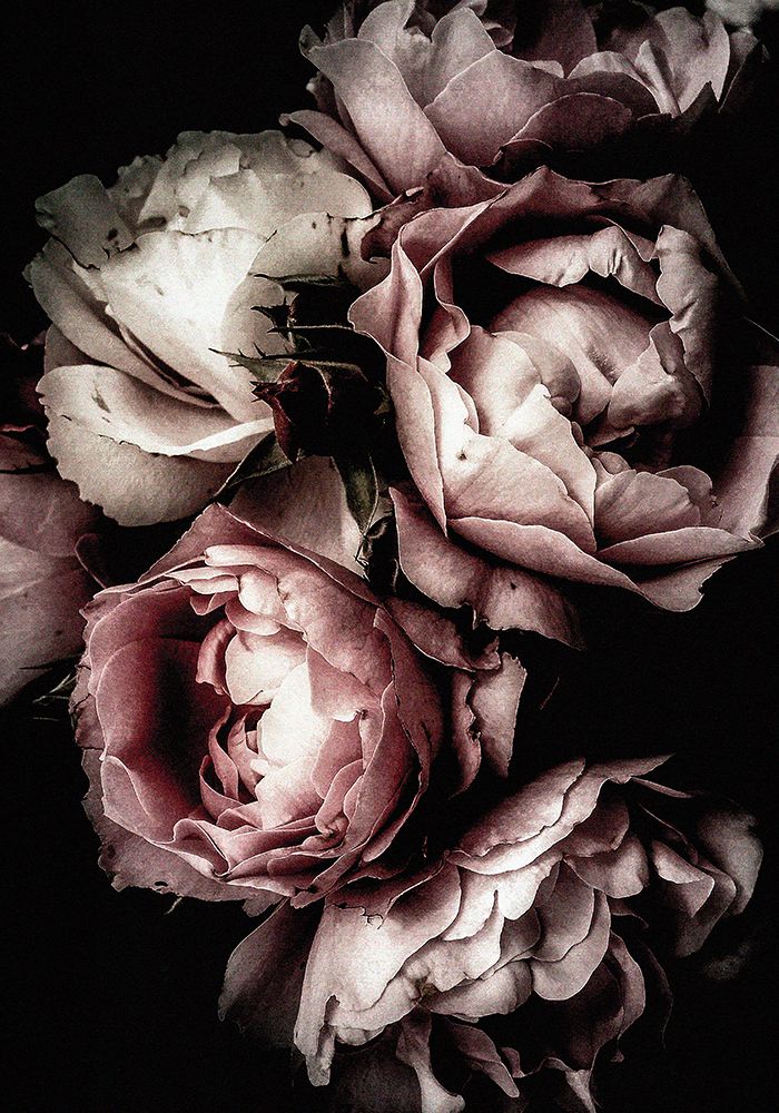 Floral 30 art print by Incado for $57.95 CAD