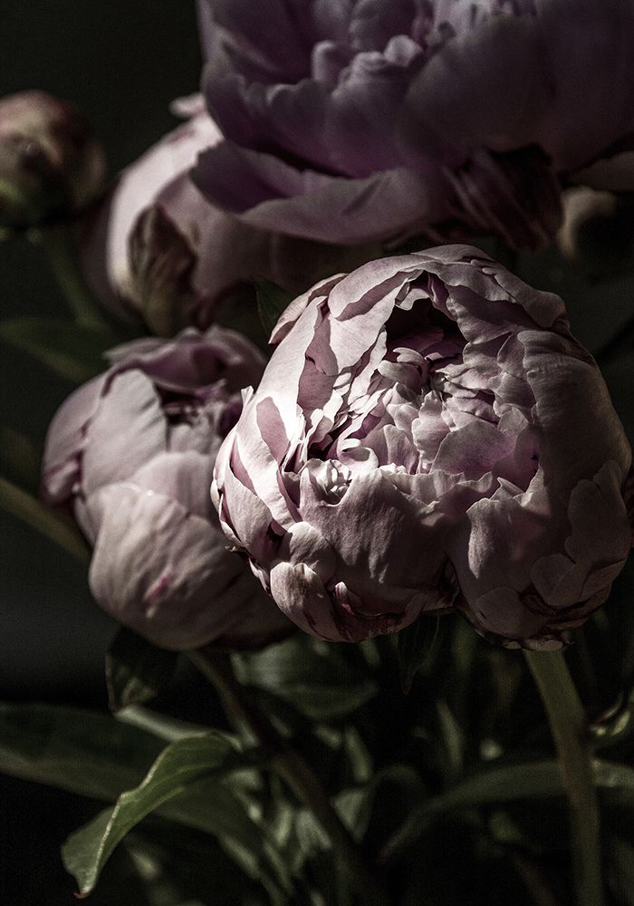 Flower 3 art print by Incado for $57.95 CAD