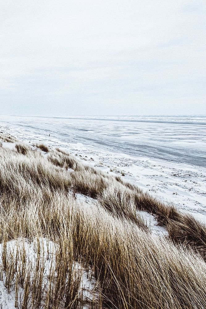 Coastal II art print by Incado for $57.95 CAD