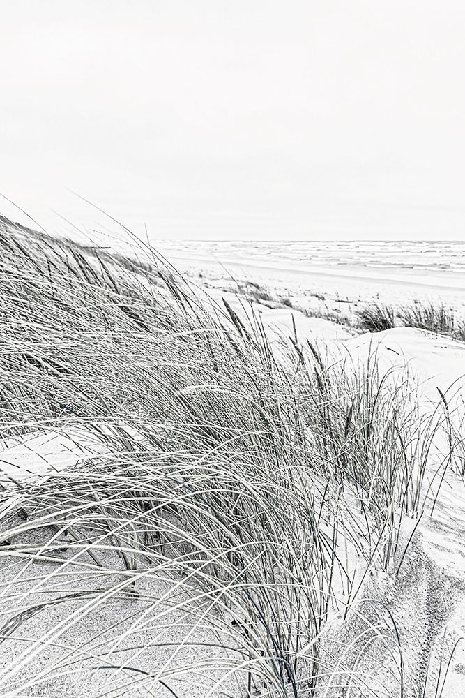 Coastal III art print by Incado for $57.95 CAD