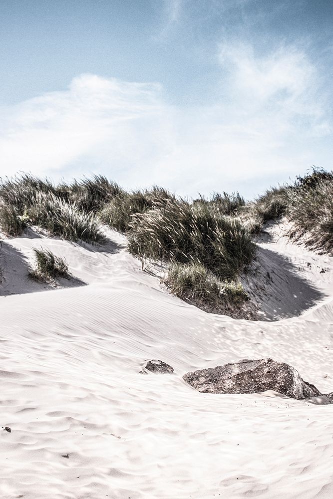 Coastal IV art print by Incado for $57.95 CAD
