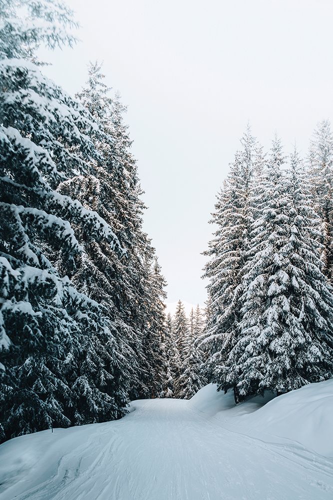 Trail in Snow art print by Incado for $57.95 CAD