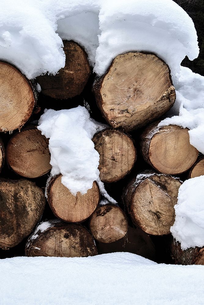 Snow Covered Logs art print by Incado for $57.95 CAD