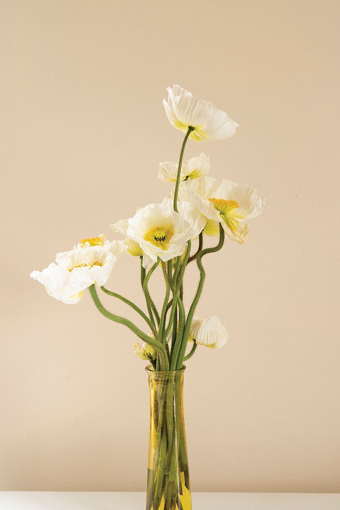 Vase of Flowers art print by Incado for $57.95 CAD