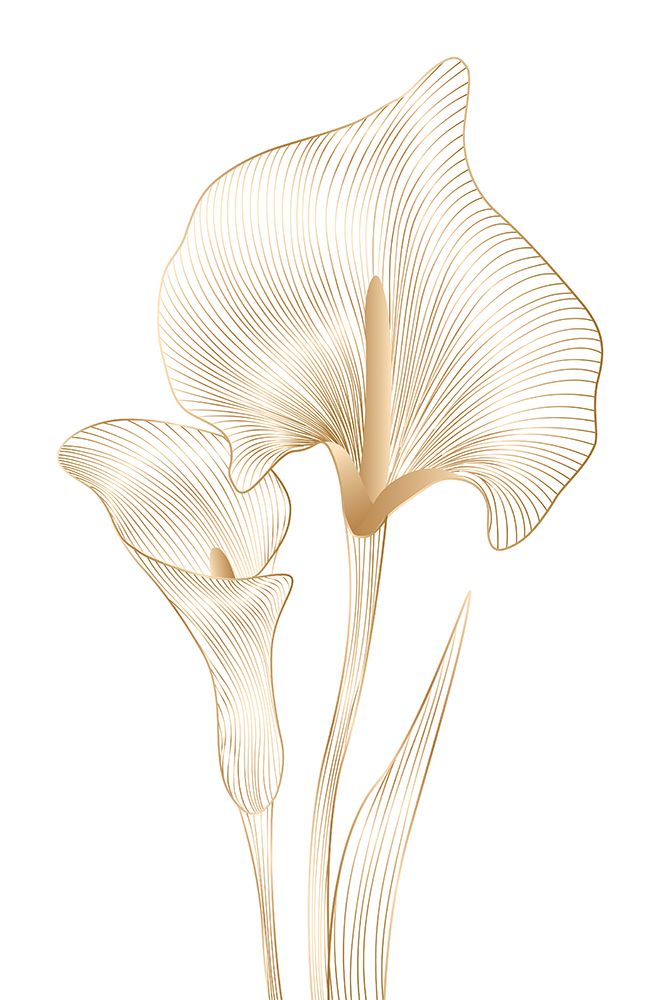 Lily Line art print by Incado for $57.95 CAD