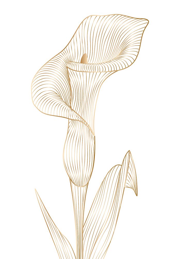 Lily line I art print by Incado for $57.95 CAD