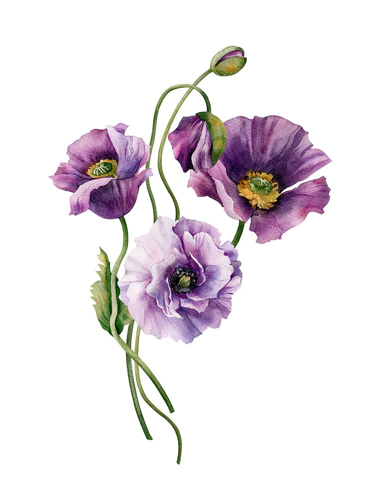 Lavender Lisianthus art print by Incado for $57.95 CAD