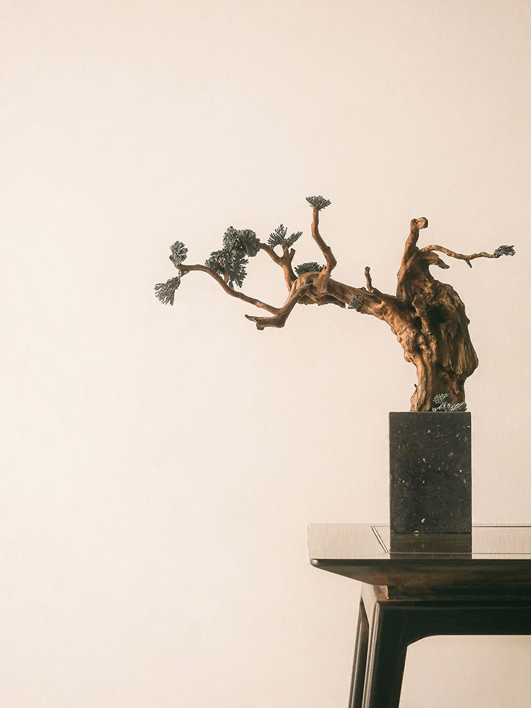 Patience and Dedication Bonsai art print by Incado for $57.95 CAD