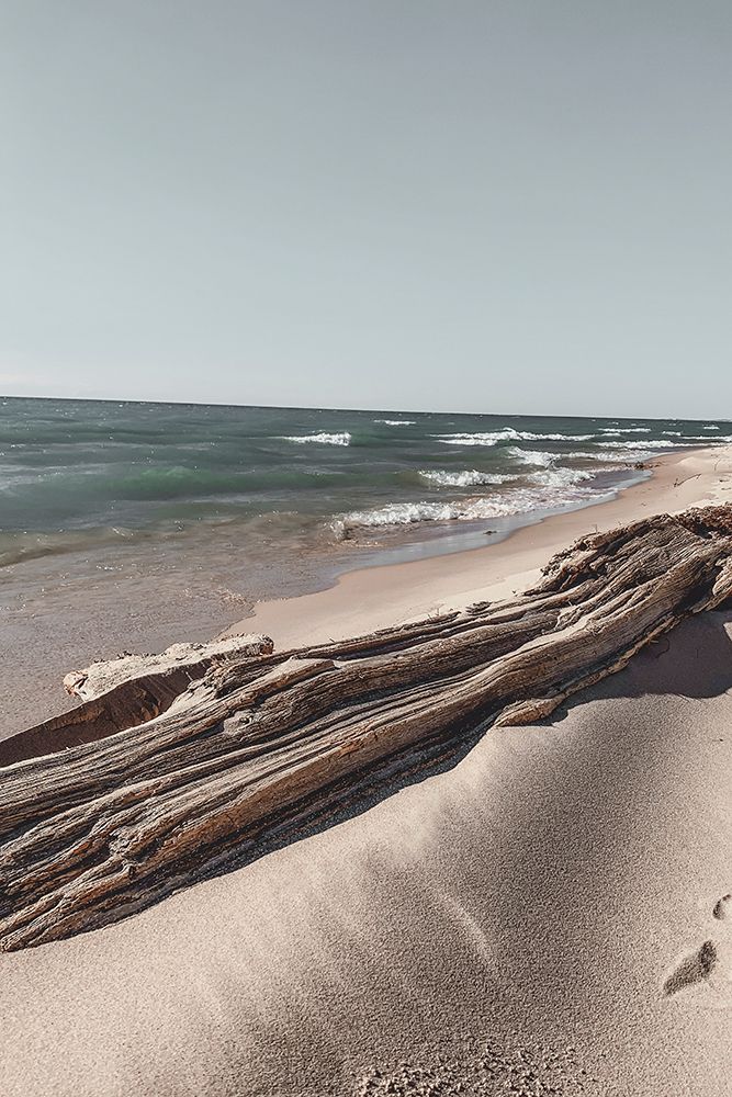 Ocean Beach Driftwood art print by Incado for $57.95 CAD