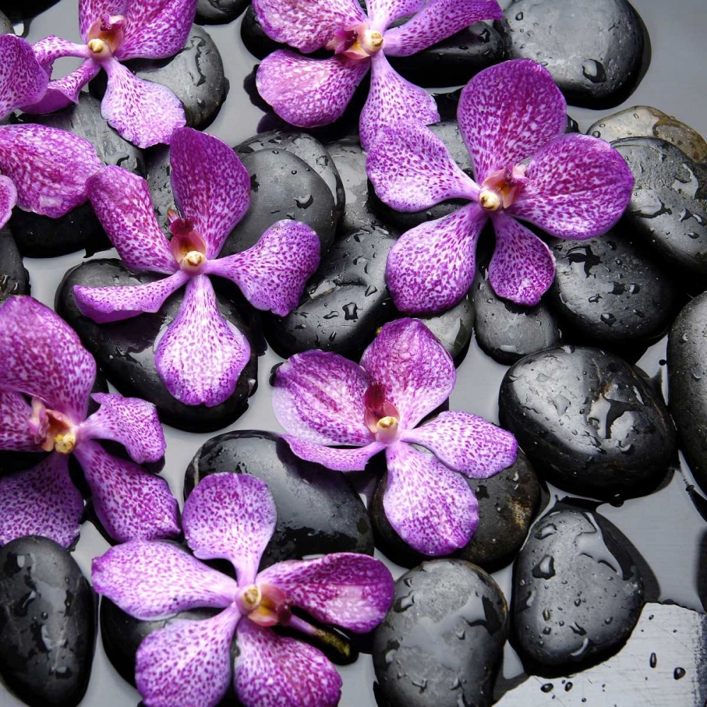 Zen Pebbles art print by PhotoINC Studio for $57.95 CAD