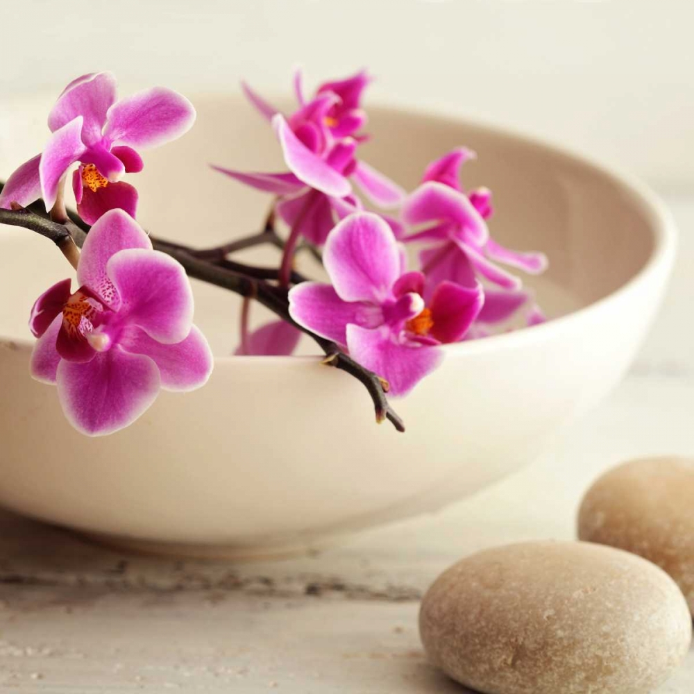 Zen Pebble art print by PhotoINC Studio for $57.95 CAD