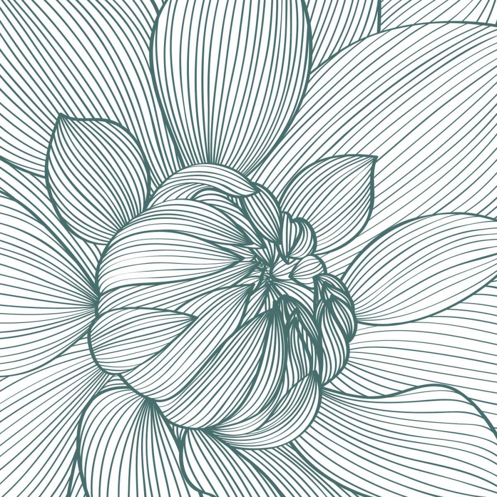 Myrrhis odorata I art print by GraphINC for $57.95 CAD