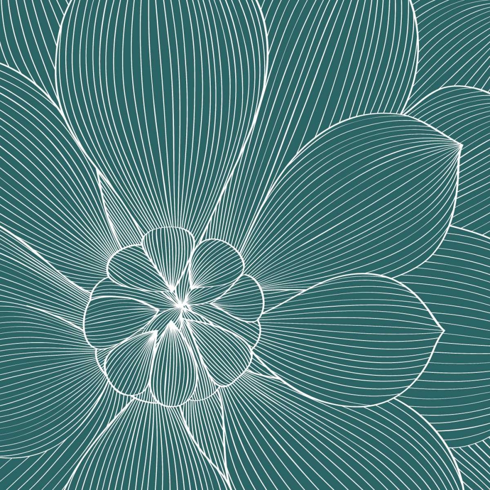 Myrrhis odorata II art print by GraphINC for $57.95 CAD