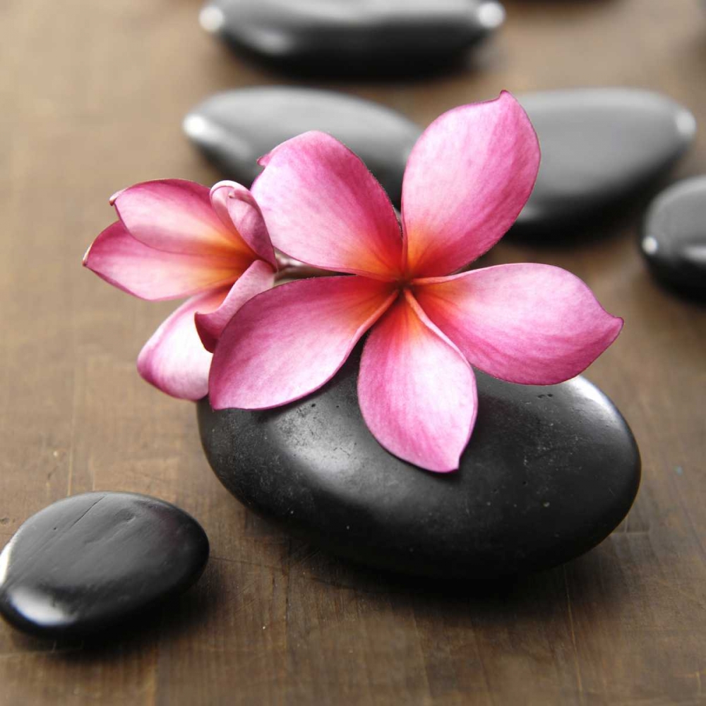Zen Pebbles art print by PhotoINC Studio for $57.95 CAD