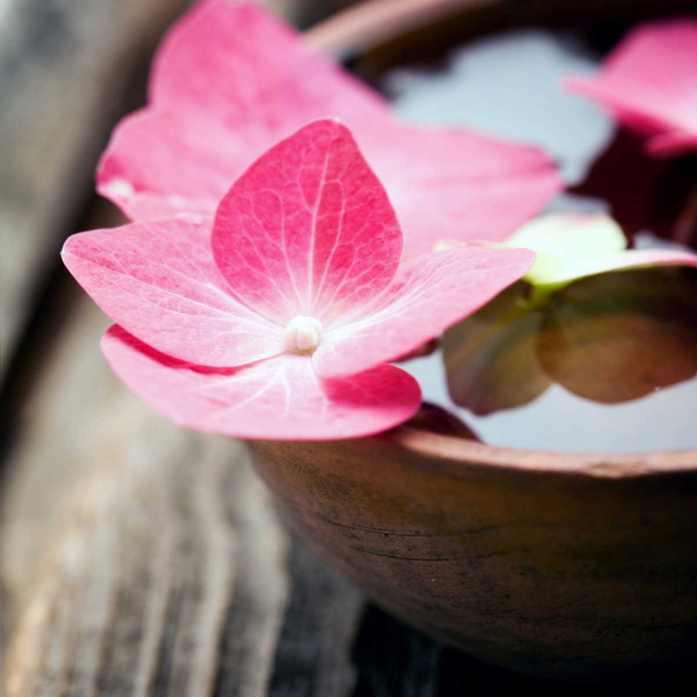 Zen Bowl art print by PhotoINC Studio for $57.95 CAD