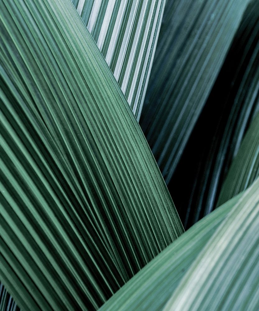 Close up I art print by Incado for $57.95 CAD