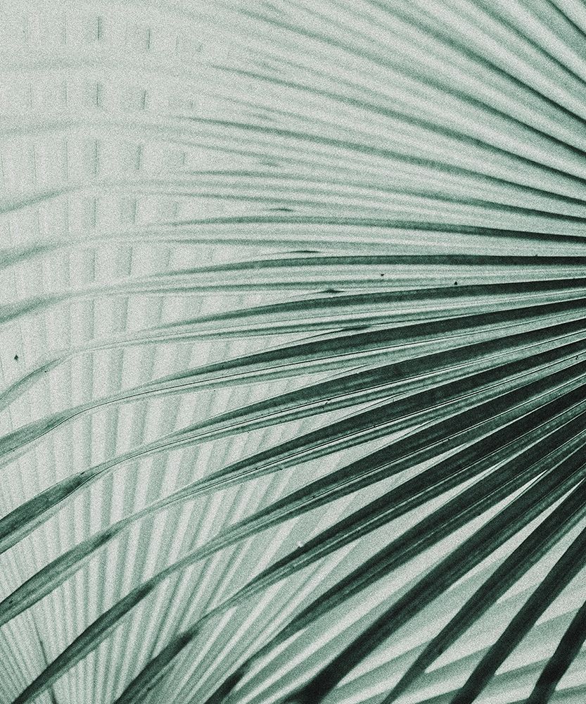 Close up II art print by Incado for $57.95 CAD