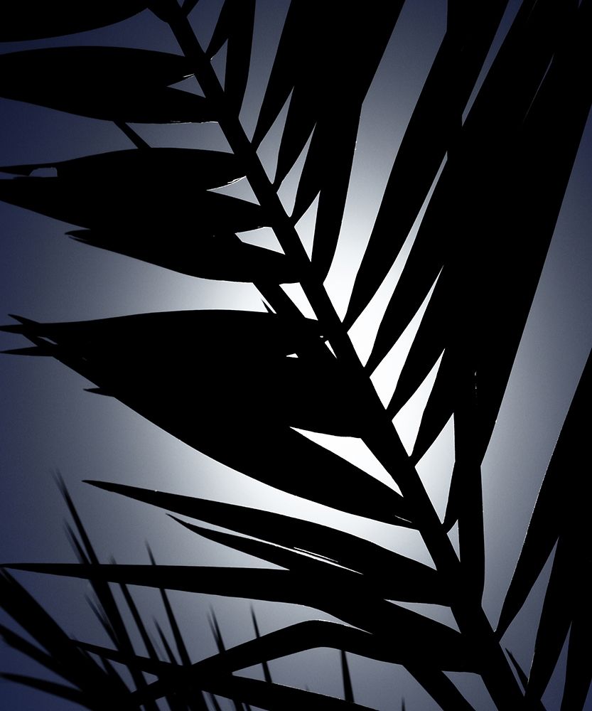 Close up IV art print by Incado for $57.95 CAD