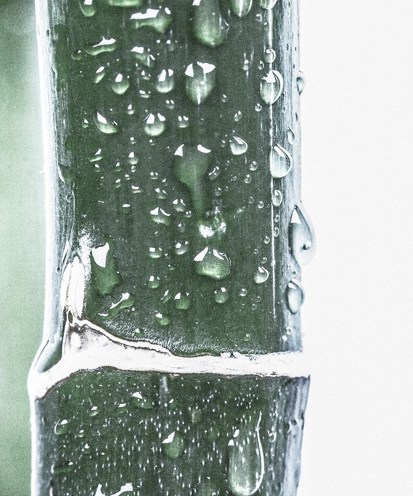 Close up V art print by Incado for $57.95 CAD
