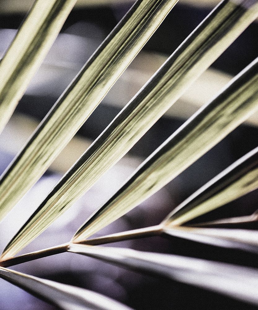 Close up IX art print by Incado for $57.95 CAD
