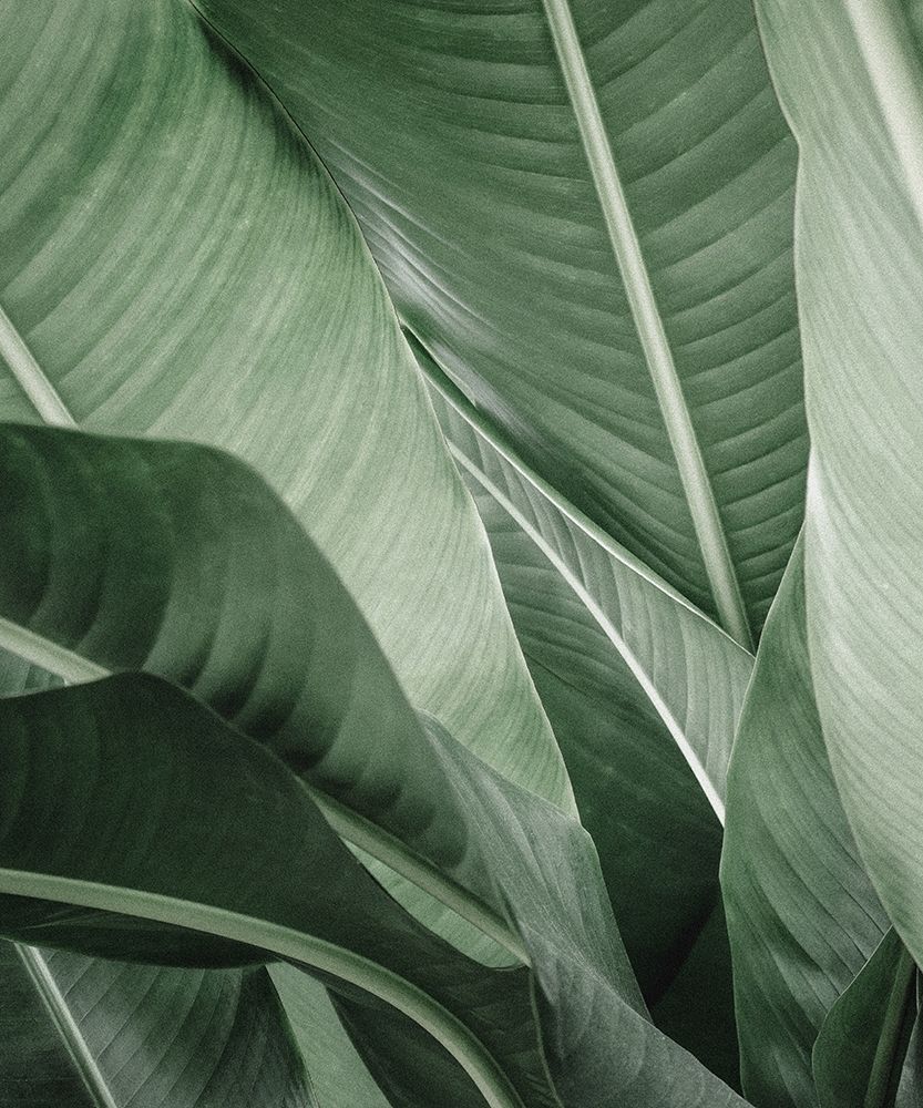 Close up X art print by Incado for $57.95 CAD