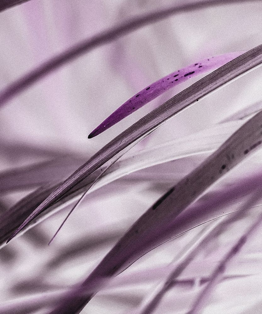 Close up XI art print by Incado for $57.95 CAD