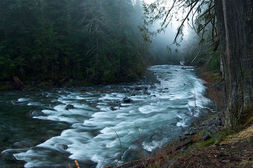 River art print by PhotoINC Studio for $57.95 CAD