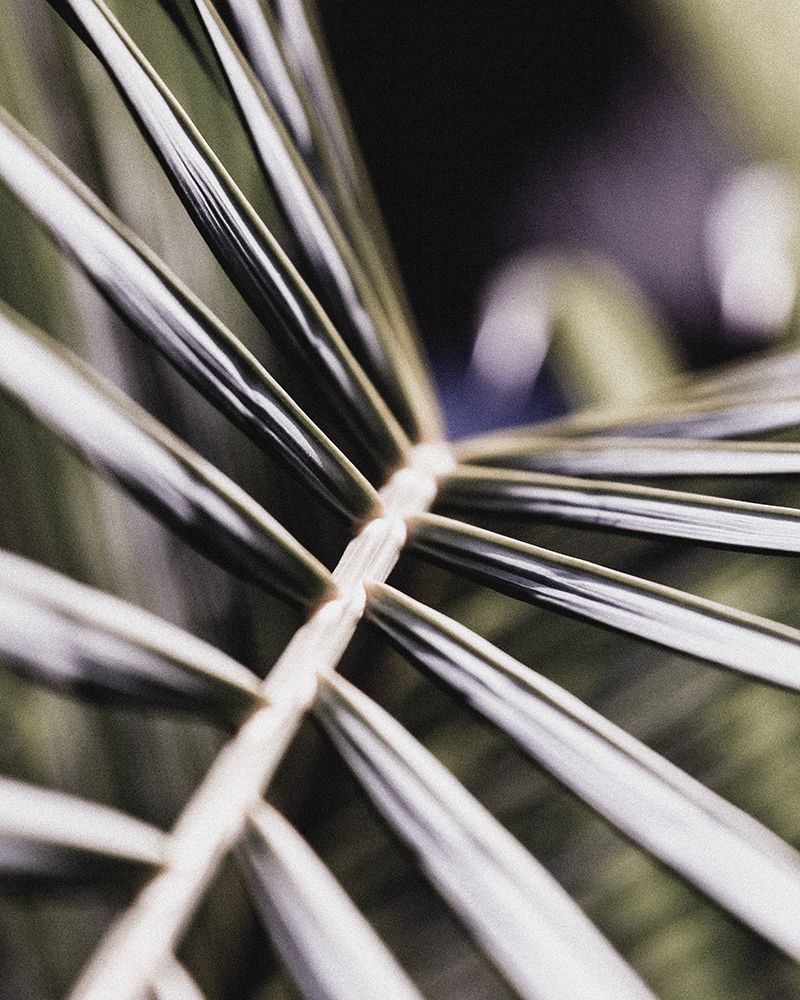 Close up XII art print by Incado for $57.95 CAD