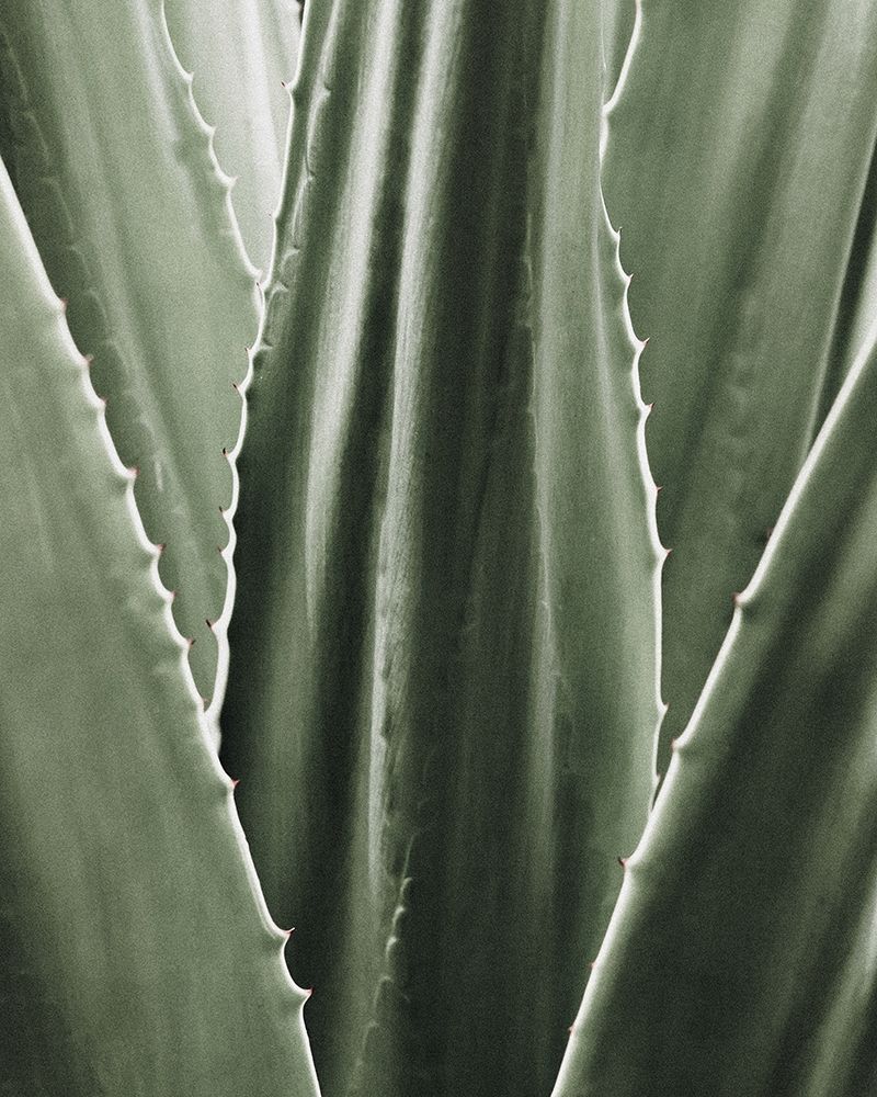Leaf I art print by Incado for $57.95 CAD