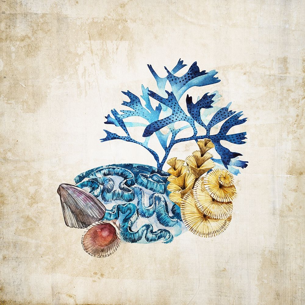 Sea life II art print by Incado for $57.95 CAD