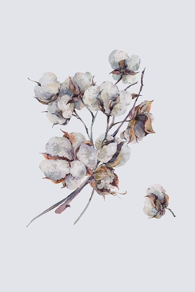 Cotton III art print by Incado for $57.95 CAD