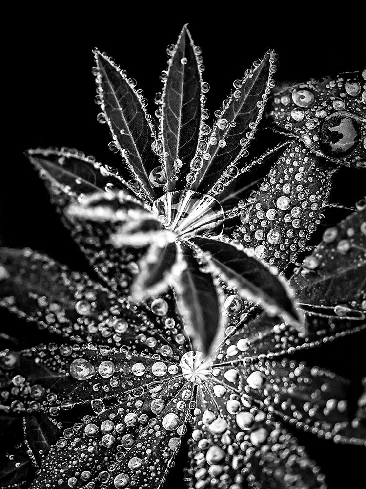 Crystal I art print by Incado for $57.95 CAD