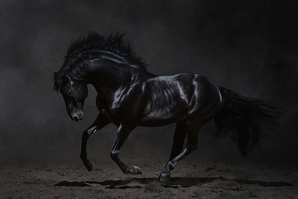 Onyx art print by PhotoINC Studio for $57.95 CAD