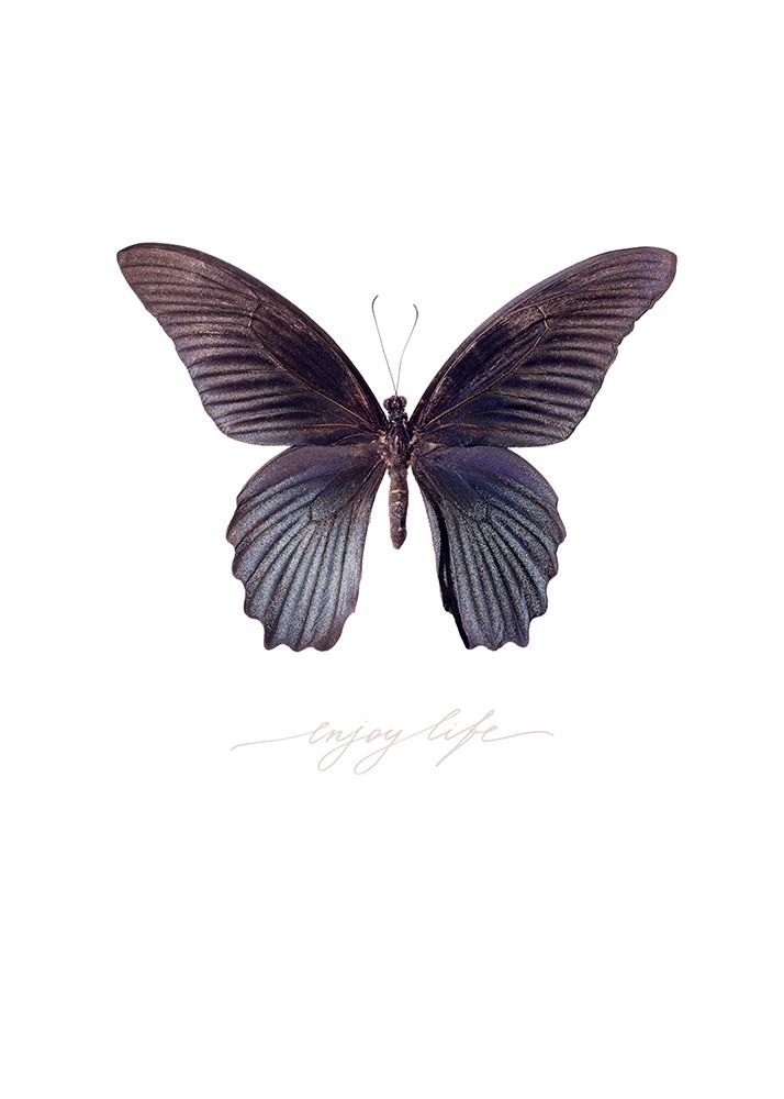 Enjoy Life art print by TypeLike for $57.95 CAD