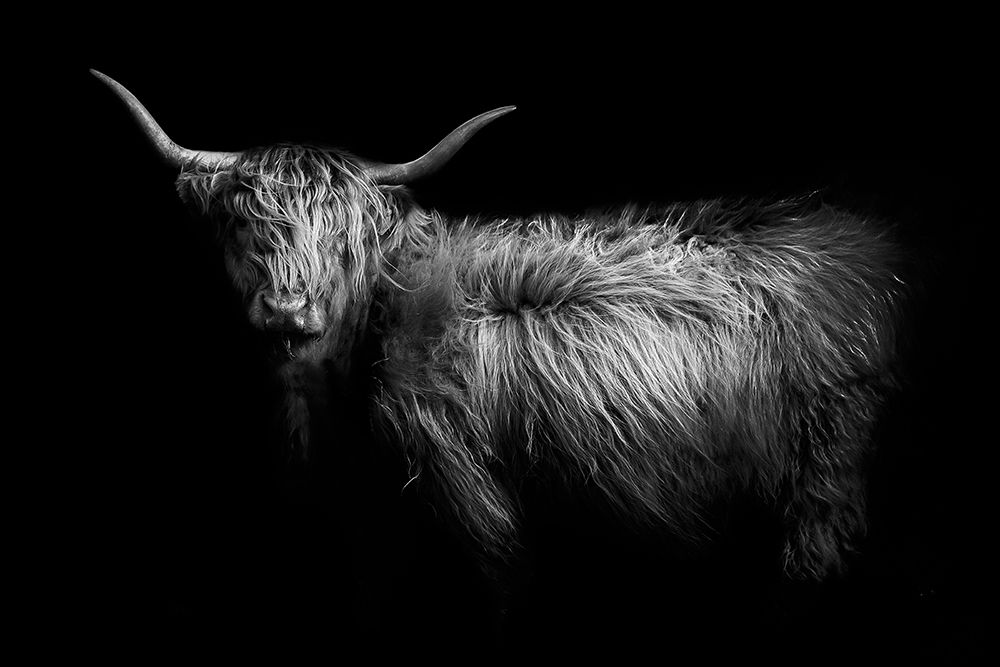 Hello art print by PhotoINC Studio for $57.95 CAD