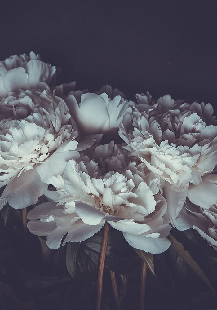 Romantic art print by PhotoINC Studio for $57.95 CAD
