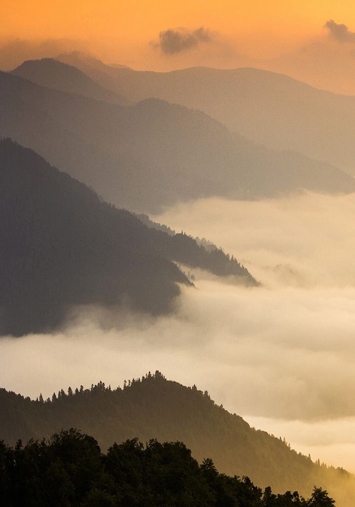 Dusty morning art print by PhotoINC Studio for $57.95 CAD