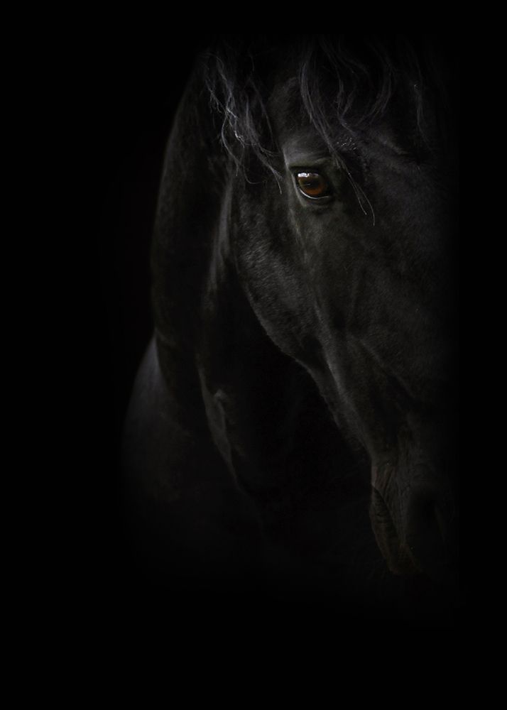 Black Pearl art print by PhotoINC Studio for $57.95 CAD