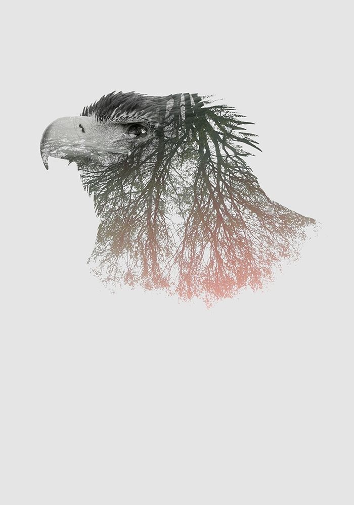 Eye of the Forest I art print by Clean Nature for $57.95 CAD