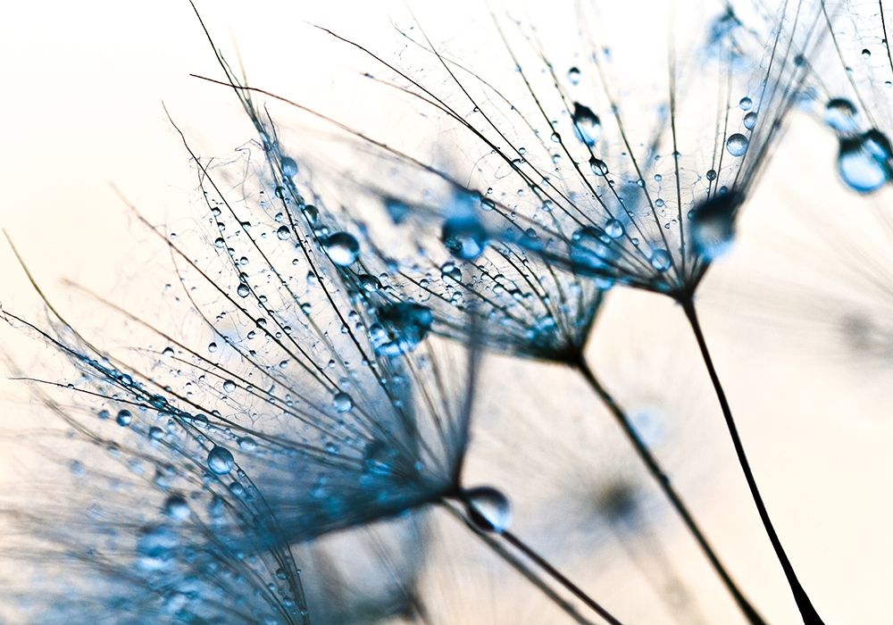 Mystic Blue art print by PhotoINC Studio for $57.95 CAD