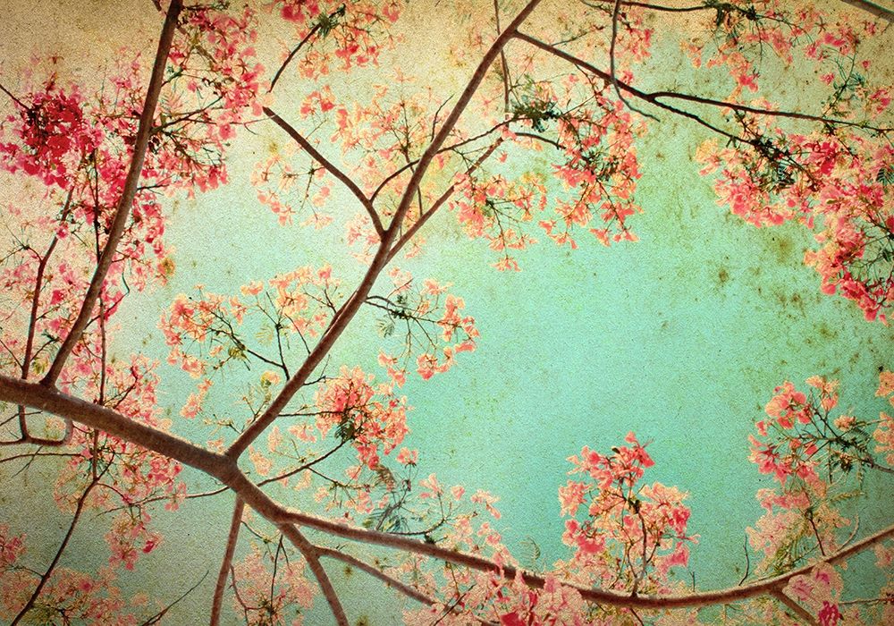 Flamboyant I art print by PhotoINC Studio for $57.95 CAD