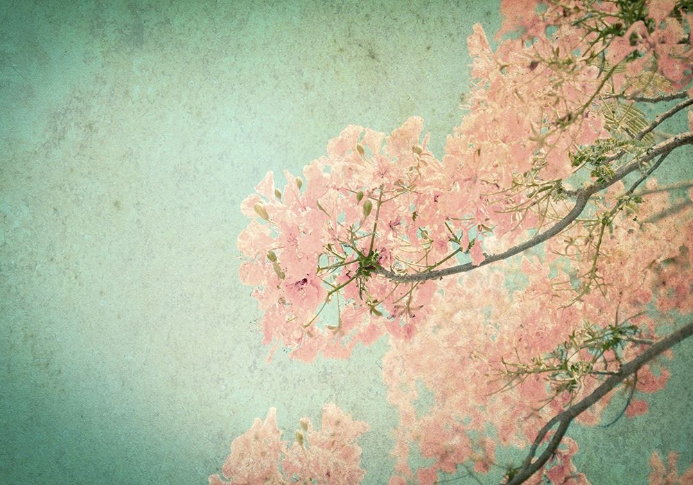Flamboyant II art print by PhotoINC Studio for $57.95 CAD