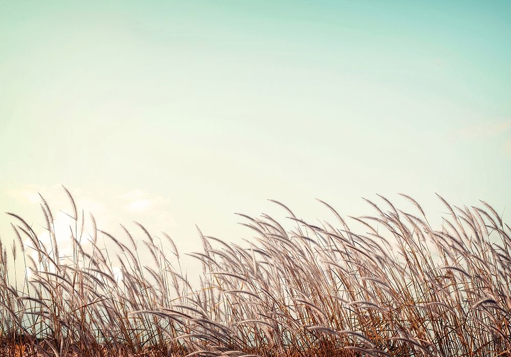Retro Grass art print by PhotoINC Studio for $57.95 CAD